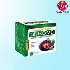 hoạt huyết tiền đình GINKO VT - VẠN TAM
