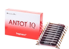 Siro Antot IQ