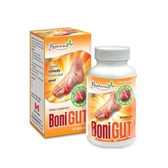Viên uống BoniGut Botania