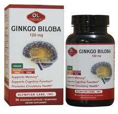 GINKGO BILOBA 120MG - BỔ NÃO