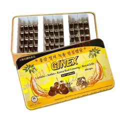 GINEX
