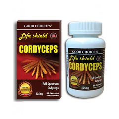 ĐÔNG TRÙNG HẠ THẢO Life Shield Cordyceps
