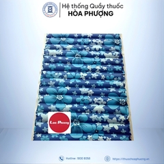 Đệm nước Lam Phương