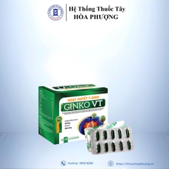 hoạt huyết tiền đình GINKO VT - VẠN TAM