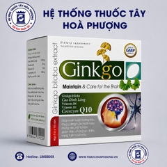 Ginkgo Hộp Xanh Lục 10 vỉ x 10 viên