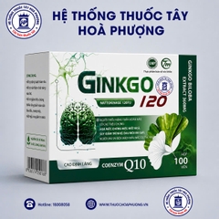 Ginkgo 120 hộp 10 vỉ x 10 viên