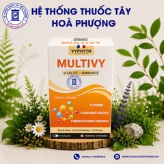 VYPHYTO MULTIVY Hộp 40 viên