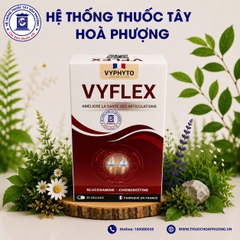 Vyflex ( Glucosamin - Chondroitine) hộp 30 viên VYPHYTO