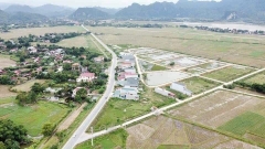 Bán đất đấu giá MB Cẩm Bình-Cẩm Thủy Thanh Hóa giá chỉ 2x, 3x