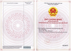 Bán 6 lô đất đấu giá chính chủ MBQH 3693 xã Đông Minh - Đông Sơn