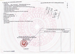 Bán 6 lô đất đấu giá chính chủ MBQH 3693 xã Đông Minh - Đông Sơn