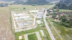 Bán đất đấu giá MB Cẩm Bình-Cẩm Thủy Thanh Hóa giá chỉ 2x, 3x