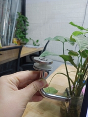 Kẹp kính Tay Cong