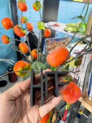 Kẹp kính không khoan 90KK màu đen