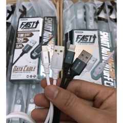cap iphone tự ngắt WK WDC-073I