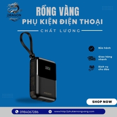 PISEN QUICK POWERLink Sunny 22.5W - 10.000MAH 2 Dây typec - ip D096