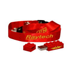 Đo điện trở một chiều 15A 2 kênh RAYTECH WR14 (100 kΩ)