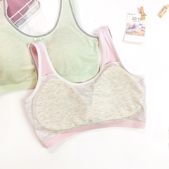 Áo lá học sinh kẻ tăm có mút