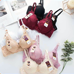 Áo ngực ren không gọng