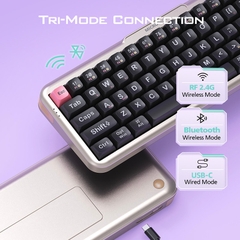 Bàn Phím Cơ Không Dây MicroPack Lifestyle K-168WM 3 Modes Wireless Mechanical Keyboard Vỏ Trong Suốt LED RGB Nhiều Màu