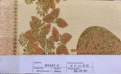 DV6172D