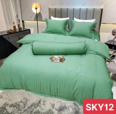 GA BỘ CT LỤA SKY