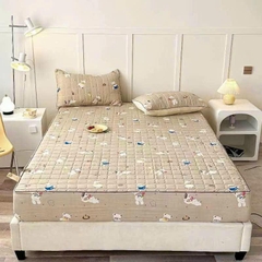 Bộ ga gối đũi xơ đậu 3 MÓN
