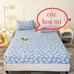 Bộ ga gối đũi xơ đậu 3 MÓN