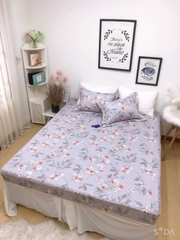 Ga gối chần chun in HT