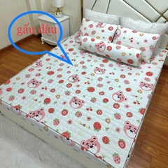 Bộ ga gối đũi xơ đậu 3 MÓN