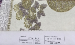 DV6173G