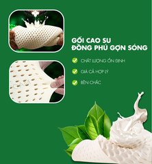 GỐI CAO SU THIÊN NHIÊN ĐỒNG PHÚ CHÍNH HÃNG