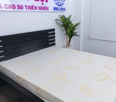 NỆM CAO SU NON GOLD LATEX THẮNG LỢI CHÍNH HÃNG