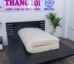 NỆM CAO SU NON GOLD LATEX THẮNG LỢI CHÍNH HÃNG