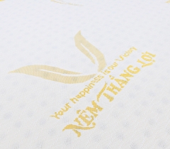 NỆM CAO SU NON GOLD LATEX THẮNG LỢI CHÍNH HÃNG