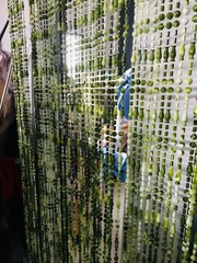 MÀNH NHỰA PHA LÊ MẪU HOA HỒNG