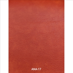 KITA-ANA-17