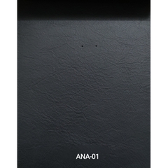 KITA-ANA-1