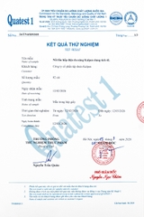 Nồi lẩu hấp điện Kalpen AR16 4L