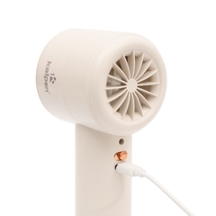 Quạt cầm tay tốc độ cao Kalpen AR306