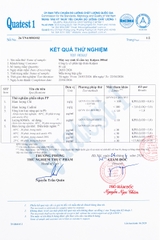 Máy xay sinh tố cầm tay Kalpen B12 300ml