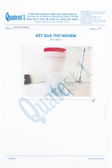 Máy xay sinh tố cầm tay Kalpen B12 300ml