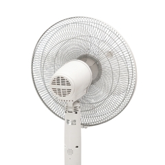 Quạt cây có điều khiển Kalpen F11 3 cánh