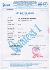 Máy xay thịt đa năng 2 cối thuỷ tinh Kalpen S1 2L