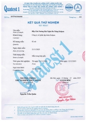 Bếp lẩu nướng hai ngăn tháo rời Kalpen PP66 6.5L