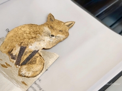 Dấu Trang Silverleaf The Fox