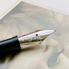 Cụm Ngòi Visconti VG10