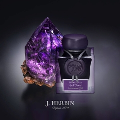 Mực Jacques Herbin 1798 Amethyst of Urals 50ml