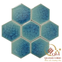 Gạch lục giac 01