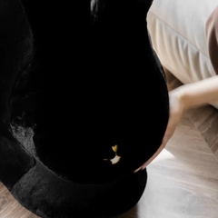 Ghế Peter Rabit nhung cao cấp | Peter Rabit Chair